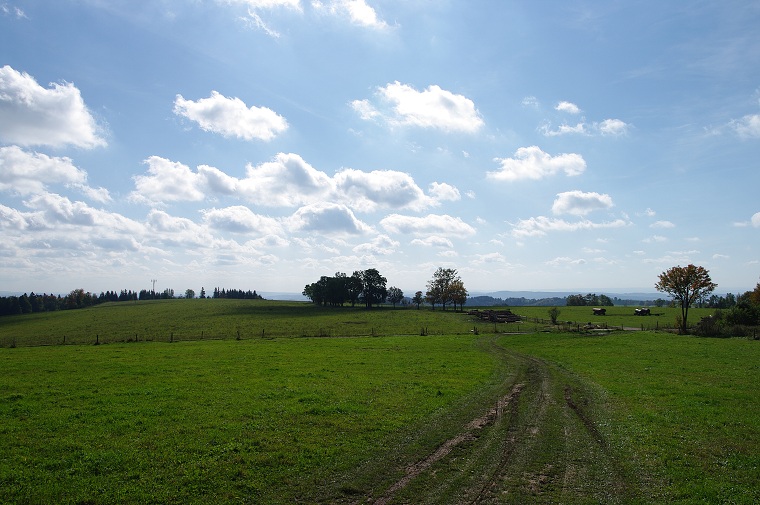 img00040.jpg