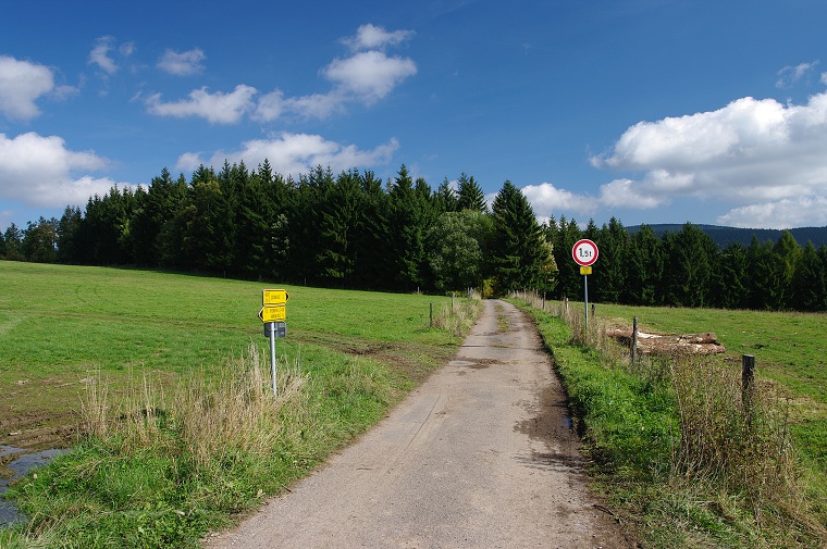 img00041.jpg