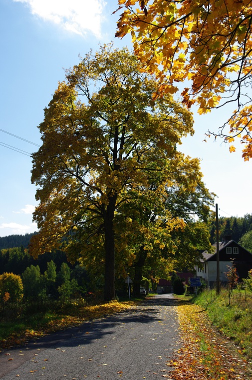 img00049.jpg