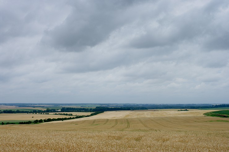 img00021.jpg