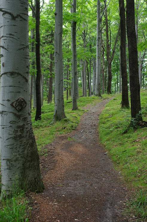 img00025.jpg