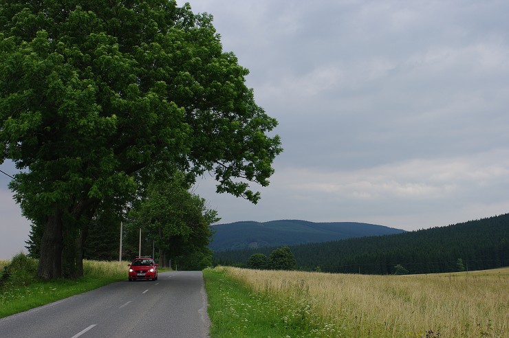img00028.jpg