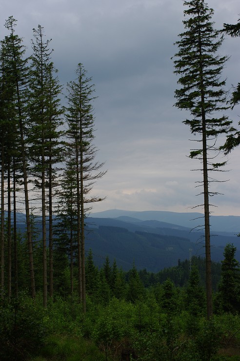 img00030.jpg