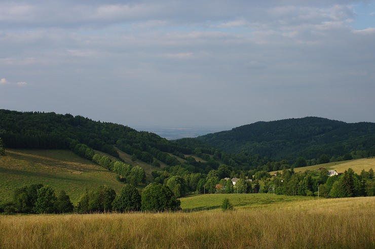 img00037.jpg