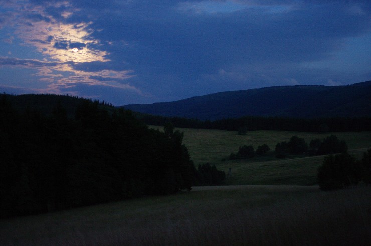 img00042.jpg