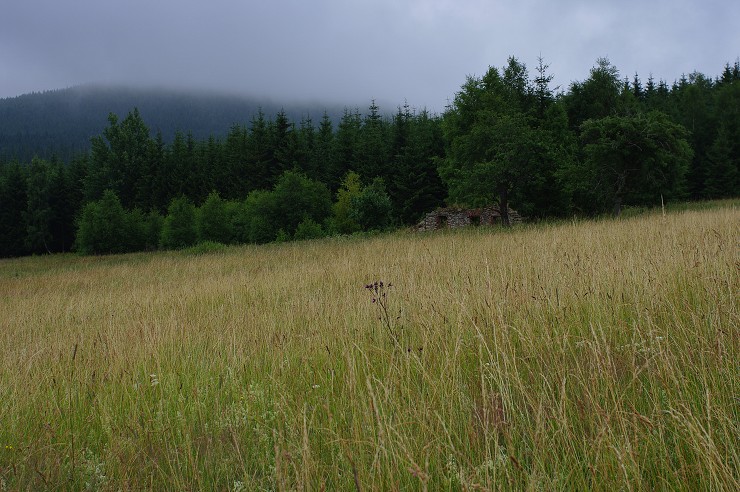 img00044.jpg