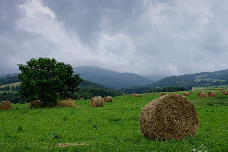 img00048.jpg