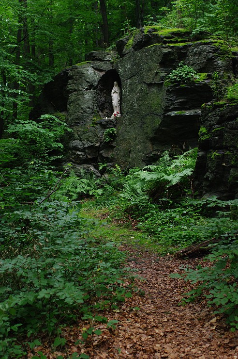 img00052.jpg