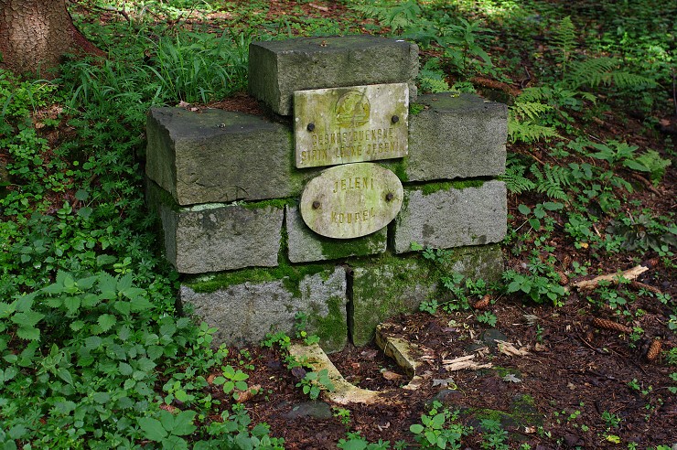 img00059.jpg