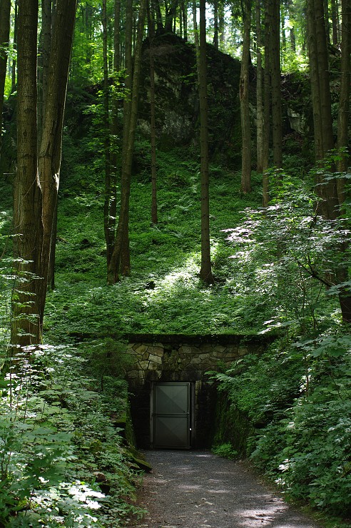 img00063.jpg