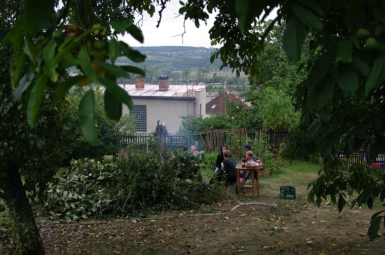 img00017.jpg