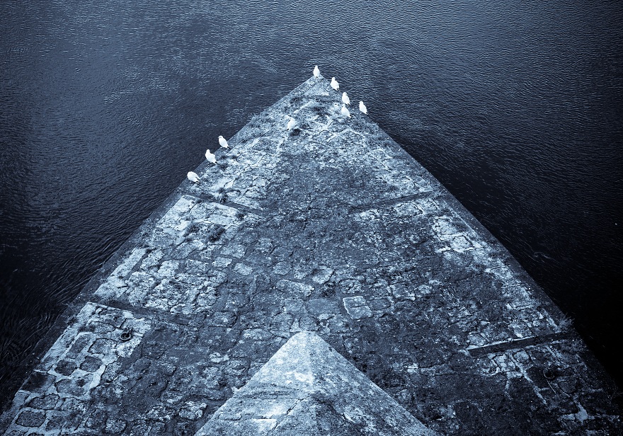 img00014.jpg