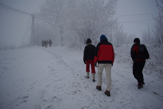 img00016.jpg