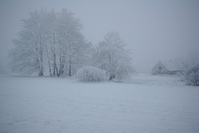 img00017.jpg