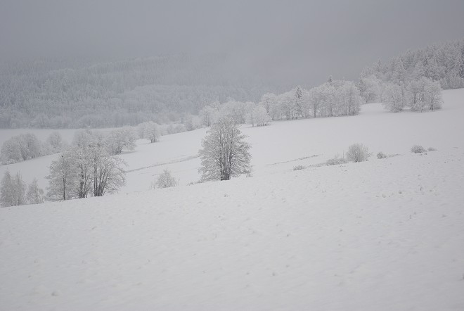 img00064.jpg