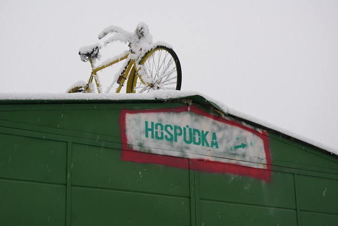 img00068.jpg