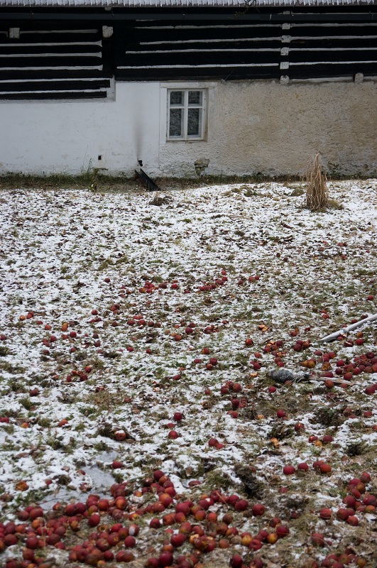 IMG23577.jpg