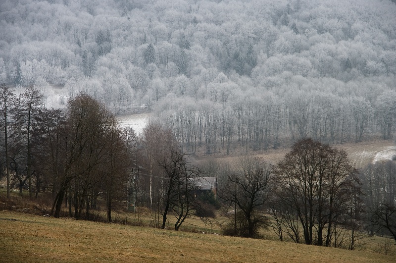 IMG23583.jpg