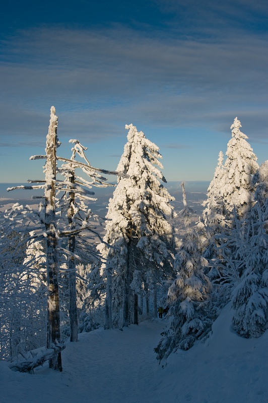 IMG23952.jpg