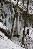 thn_IMG23554.jpg