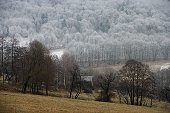thn_IMG23583.jpg