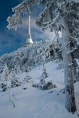 thn_IMG23887.jpg