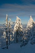 thn_IMG23952.jpg