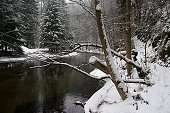 thn_IMG44349.jpg