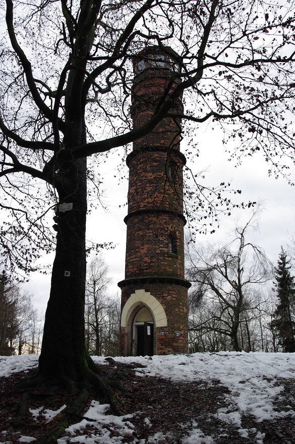 img00019.jpg