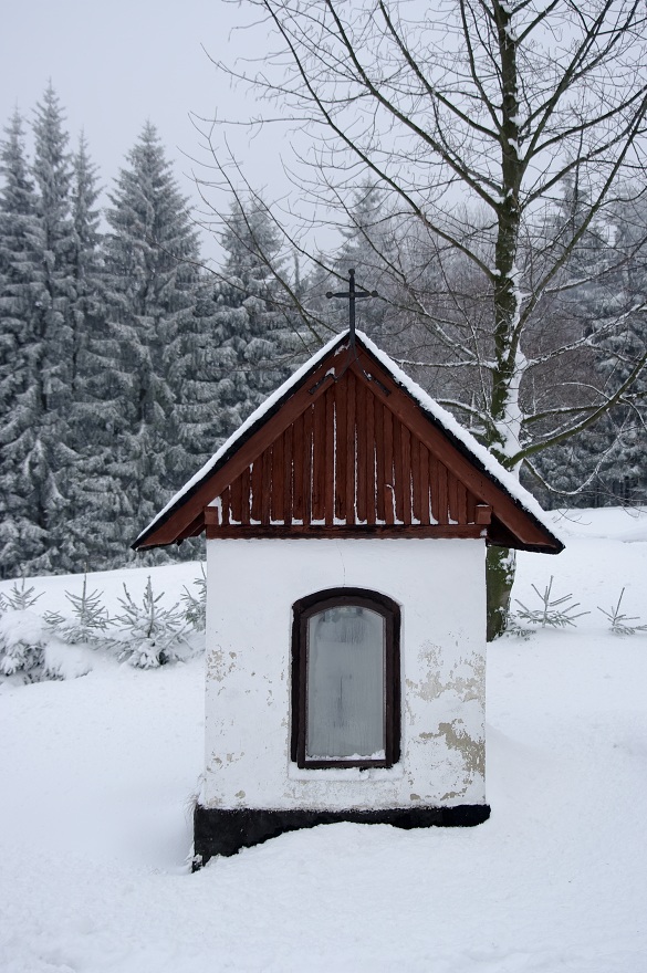 img00045.jpg