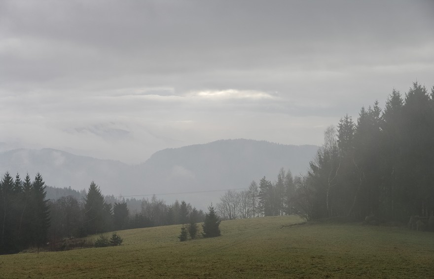img00009.jpg