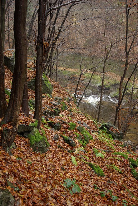 img00022.jpg