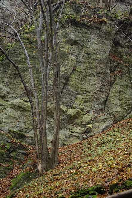 img00026.jpg