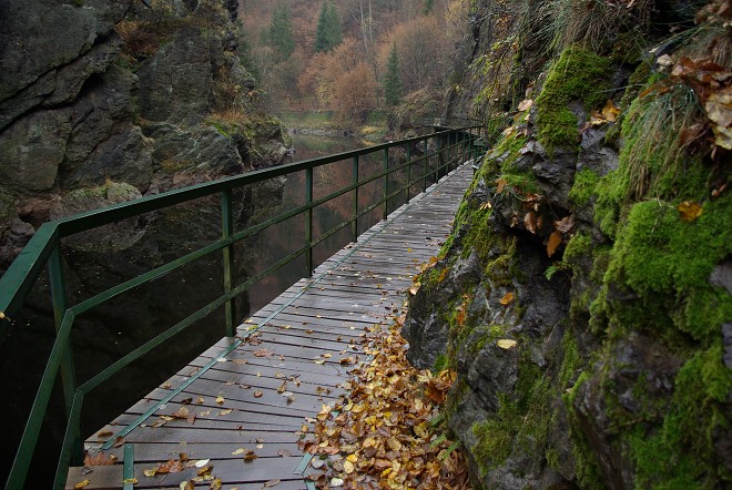 img00035.jpg