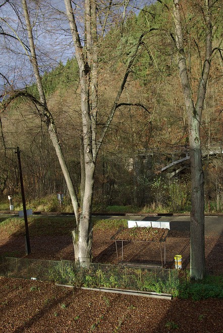 img00056.jpg