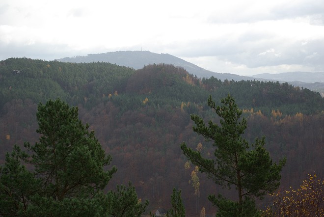 img00080.jpg