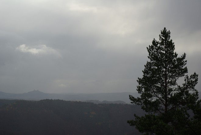img00081.jpg