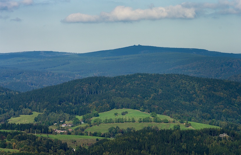 IMG38678.jpg