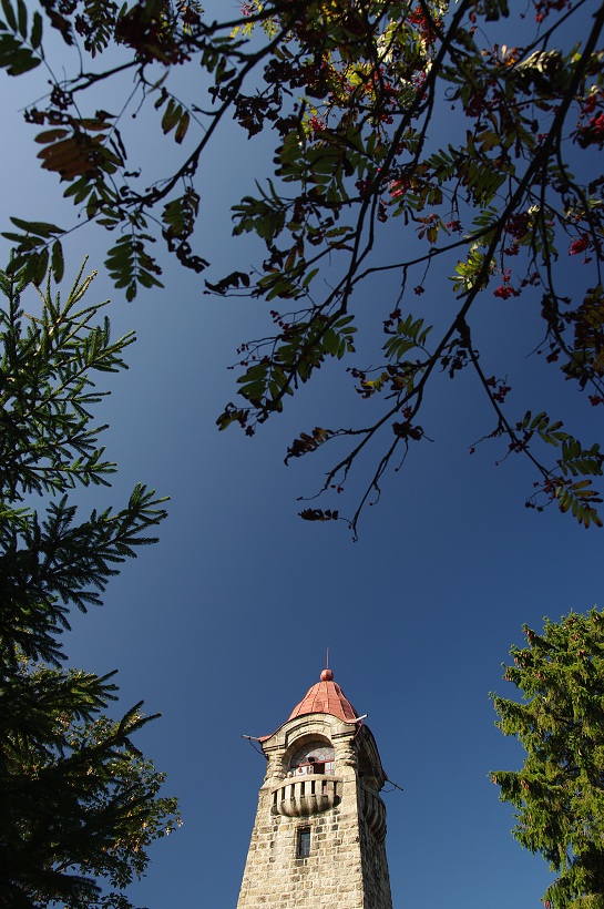 IMG38713.jpg