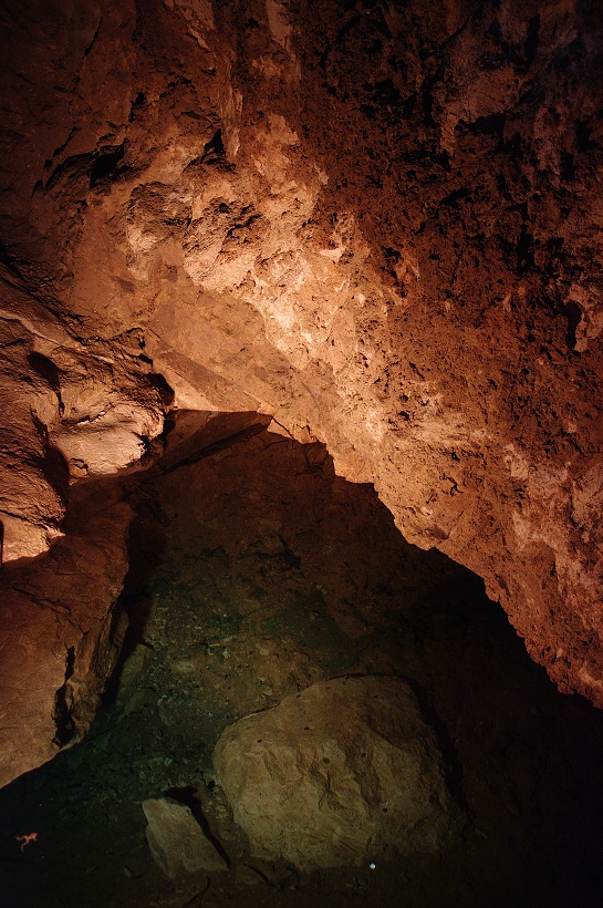 IMG38889.jpg