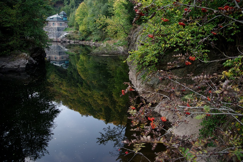 IMG38970.jpg