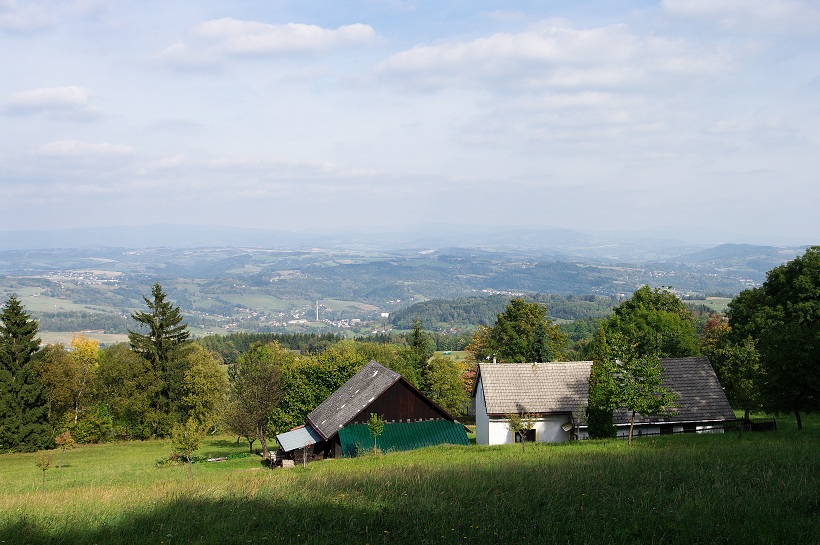 IMG39156.jpg