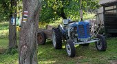 thn_IMG39155.jpg