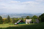 thn_IMG39156.jpg