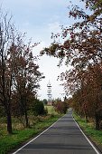 thn_IMG39157.jpg
