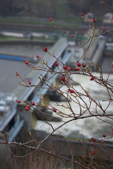 img00040.jpg