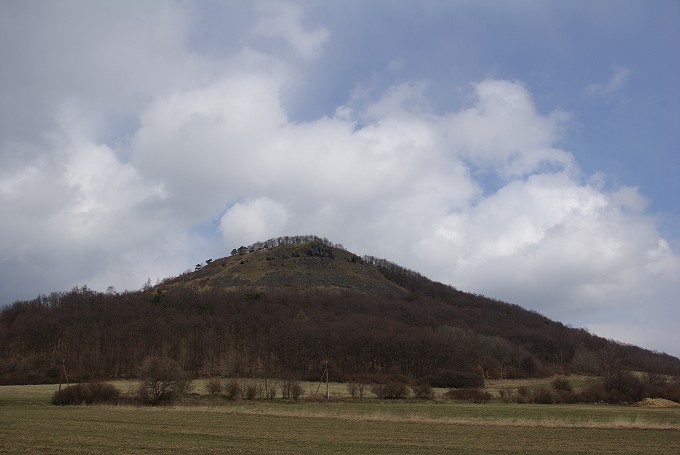 img00050.jpg