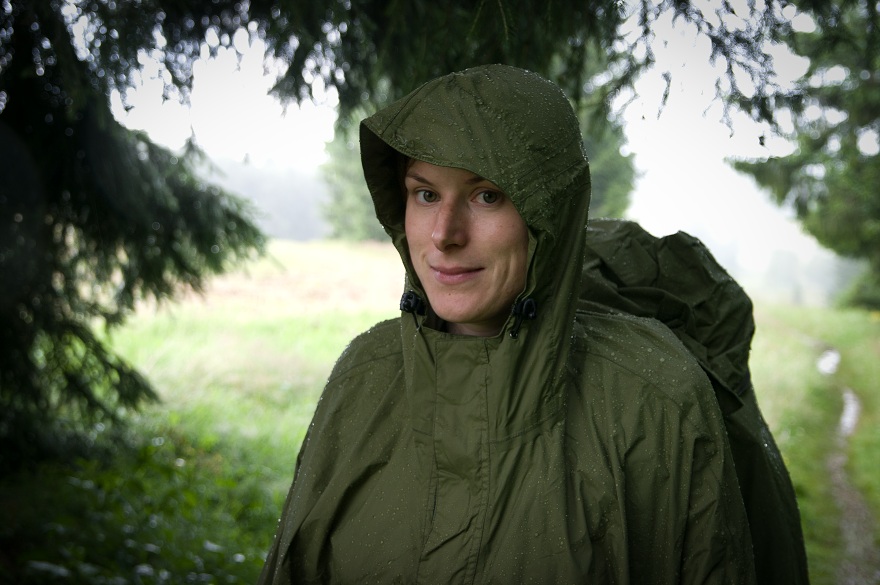 img00005.jpg