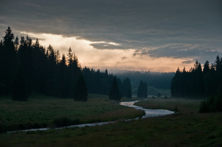 img00010.jpg