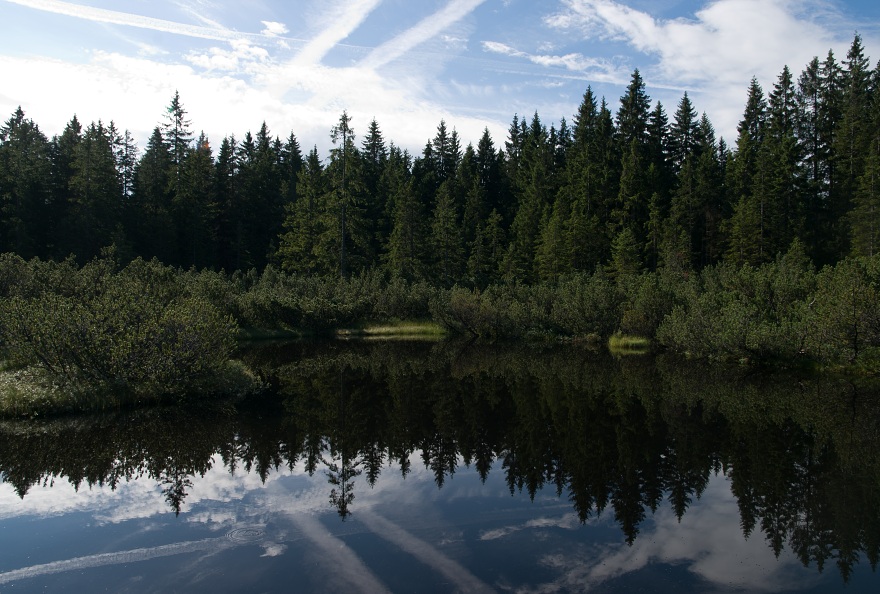 img00013.jpg
